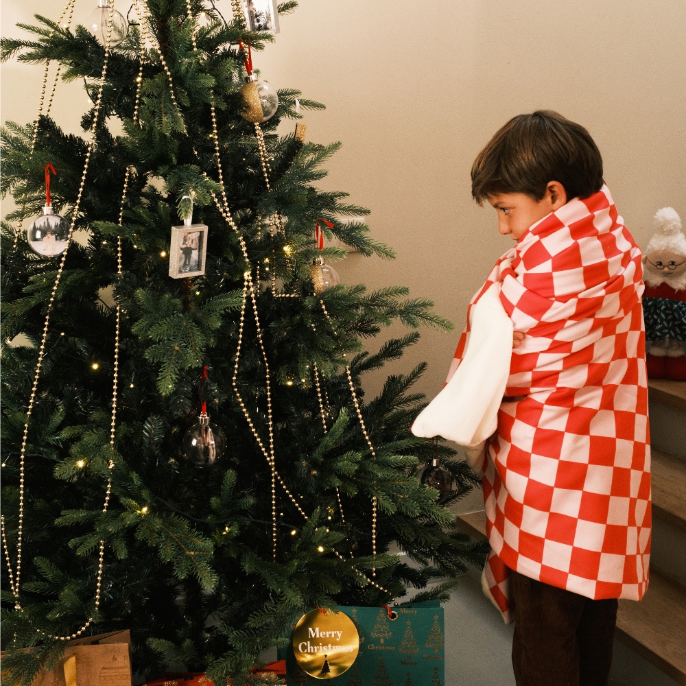 Almofada Presente de Natal inspiração 9